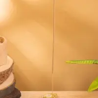 Подставка под благовония "Морская черепашка" керамика, цв. коричневый, 5,5х4,5х1 см