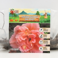 Лилейник Double Pink Wonder, многолетник, корневище в пакете с торфогрунтом, р-р I, 1 шт.