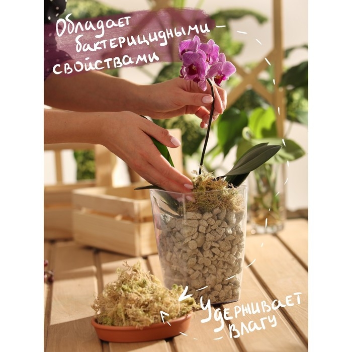 Мох сфагнум Мох сфагнум "Рецепты Дедушки Никиты" 0,7 л