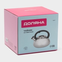 Чайник со свистком из нержавеющей стали Доляна &laquo;Квант&raquo;, 2,8 л, фиксированная ручка, цвет хромированный
