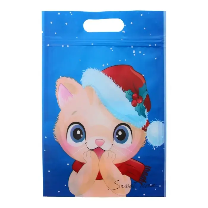 Пакет подарочный, с zip-lock застежкой, "Зимние котята", 15х22см.