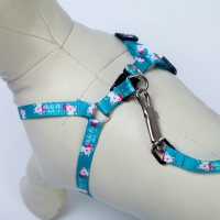 Комплект &laquo;Хочу на ручки&raquo;, шлейка 24-34х1 см, поводок 120 см