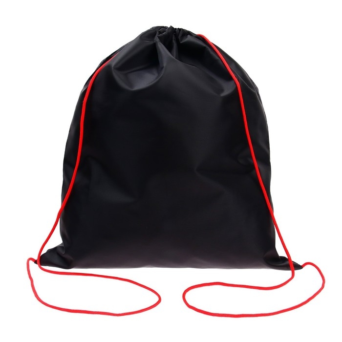 Мешок для обуви 490 х 410 мм, СДС-53, T-REX 2023