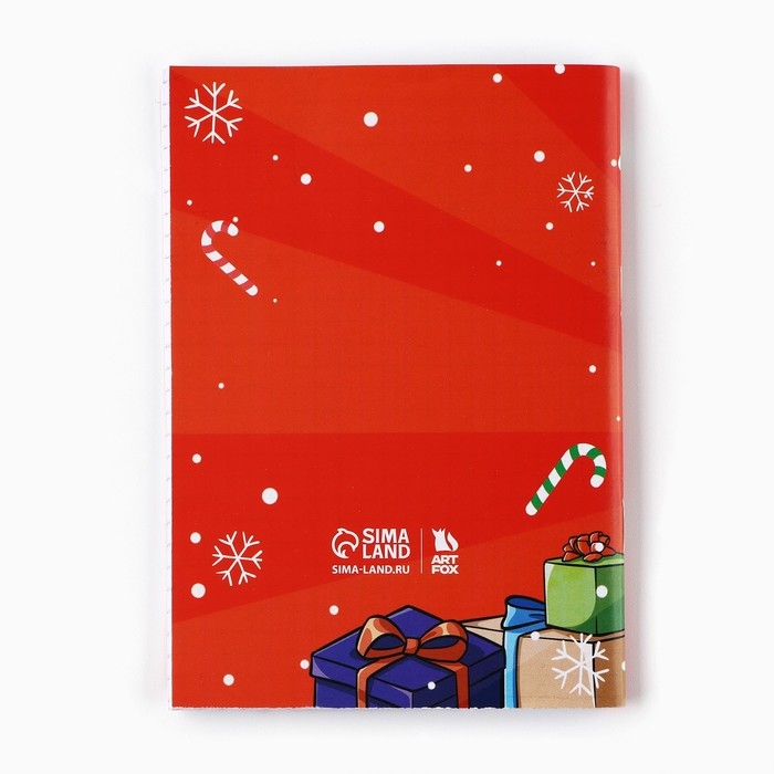 Подарочный набор новогодний, блокнот и ручка пиши-стирай &laquo;Поверь в мечту!&raquo;