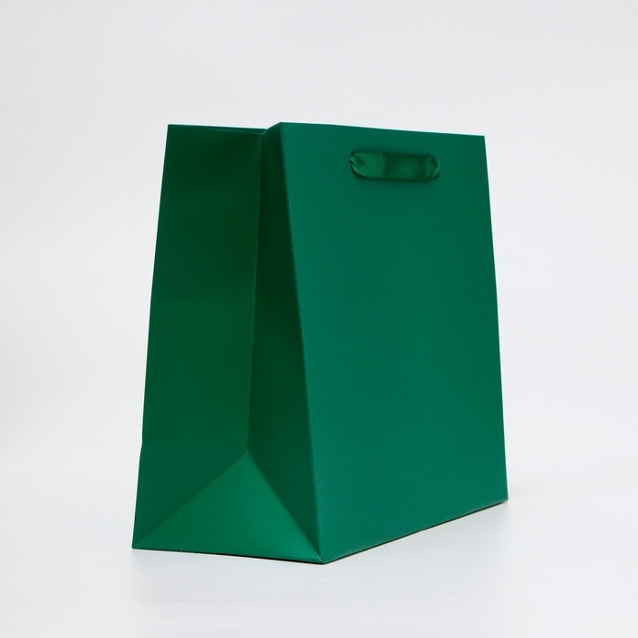 Пакет ламинированный горизонтальный &laquo;Изумрудный&raquo;, ML 27 &times; 23 &times; 11.5 см