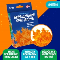Выращивание кристаллов &laquo;Опыты. Лучистые кристаллы&raquo;, цвет оранжевый