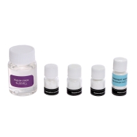 Набор для опытов &laquo;Химия Нового года&raquo;, 20 опытов, в пакете