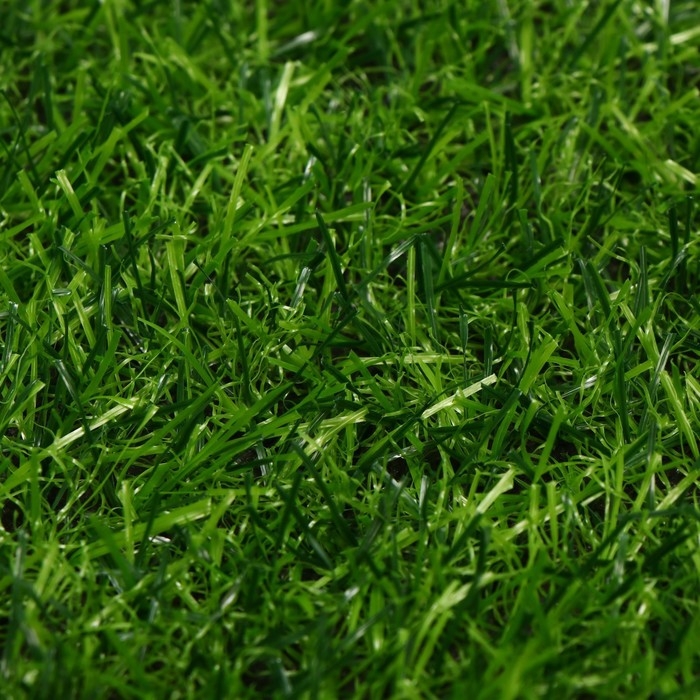 Газон искусственный, ворс 20 мм, 2 &times; 25 м, трёхцветный, тёмно-зелёный, Greengo