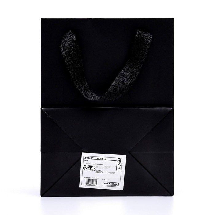 Пакет подарочный, с окном, 20 х 15 х 10 см, черный, 1шт. Пакет подарочный, с окном, 20 х 15 х 10 см, черный, 1шт.