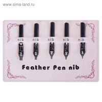 Набор перьев для каллиграфии, 5 штук Набор перьев для каллиграфии, 5 штук