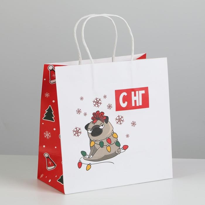 Пакет подарочный новогодний &laquo;А вас также&raquo;, 22 х 22 х 11 см, Новый год
