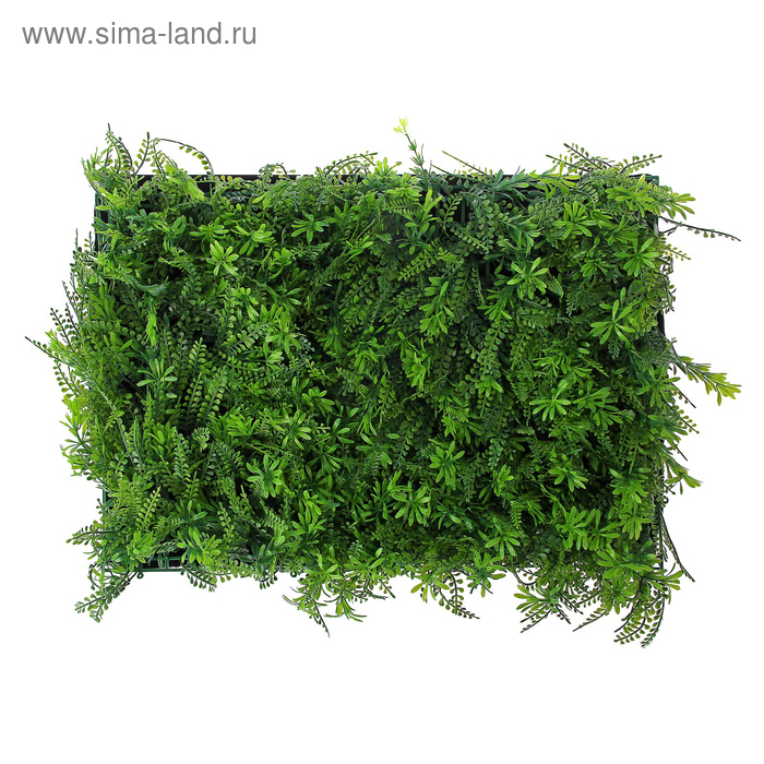 Декоративная панель, 40 &times; 60 см, &laquo;Разнотравье&raquo;, Greengo