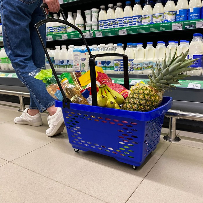 Корзина-тележка на 4 колесах пластиковая, 28 л, с 2 пластиковыми ручками, цвет синий Корзина-тележка на 4 колесах пластиковая, 28 л, с 2 пластиковыми ручками, цвет синий