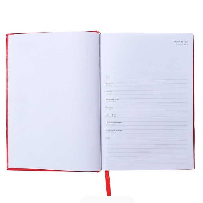 Ежедневник датированный 2024 года, А5, 176 листов, Attomex.Orion, обложка бумвинил, ляссе, блок 70 г/м2, красный