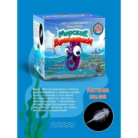 Набор химических опытов и экспериментов «Морские дракончики» Набор химических опытов и экспериментов «Морские дракончики»