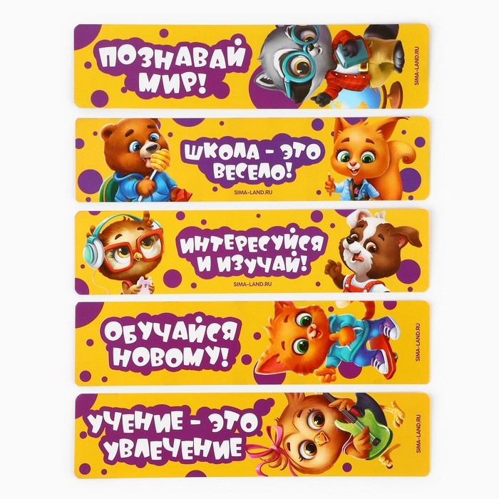 Набор первоклассника 32 предмета &laquo;1 сентября: Сова&raquo;