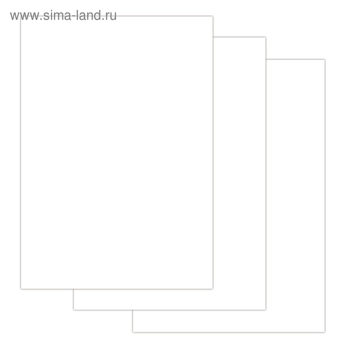 Папка для черчения А4, 24 листа, 200 г/м, BRAUBERG, без рамки, ватман ГОЗНАК КБФ