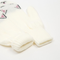 Женские варежки в подарочной коробке "С НГ" р.19 Женские варежки в подарочной коробке "С НГ" р.19