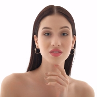 Серьги-кольца &laquo;Перерождение&raquo; классика, d=2,5 см, цвет серебро