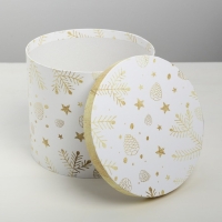 Набор подарочных коробок 5 в 1 &laquo;Изморозь&raquo;, 13 х 14‒19.5 х 22 см 3580137, Новый год