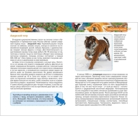 Детская энциклопедия &laquo;Животные России&raquo;
