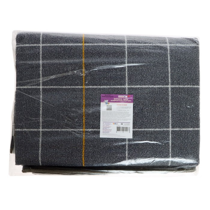 Развивающий комплект &laquo;Коврограф &laquo;Ларчик&raquo; + методика