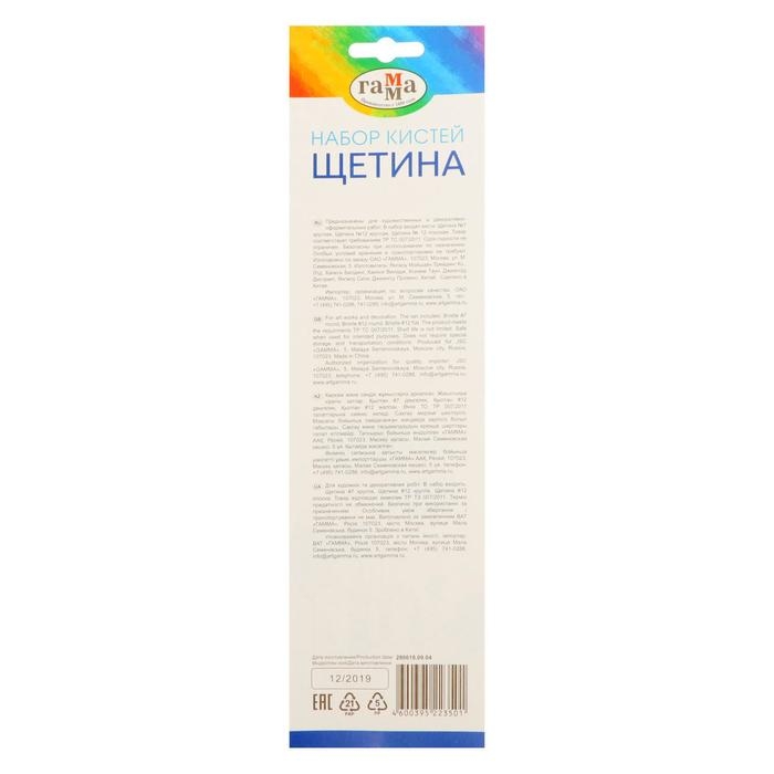 Набор кистей "Щетина", 3 штуки круглые № 7, 12, плоская №12