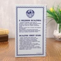 Сейф - книга "Сберегательная книжка" 21x13,5x5 см