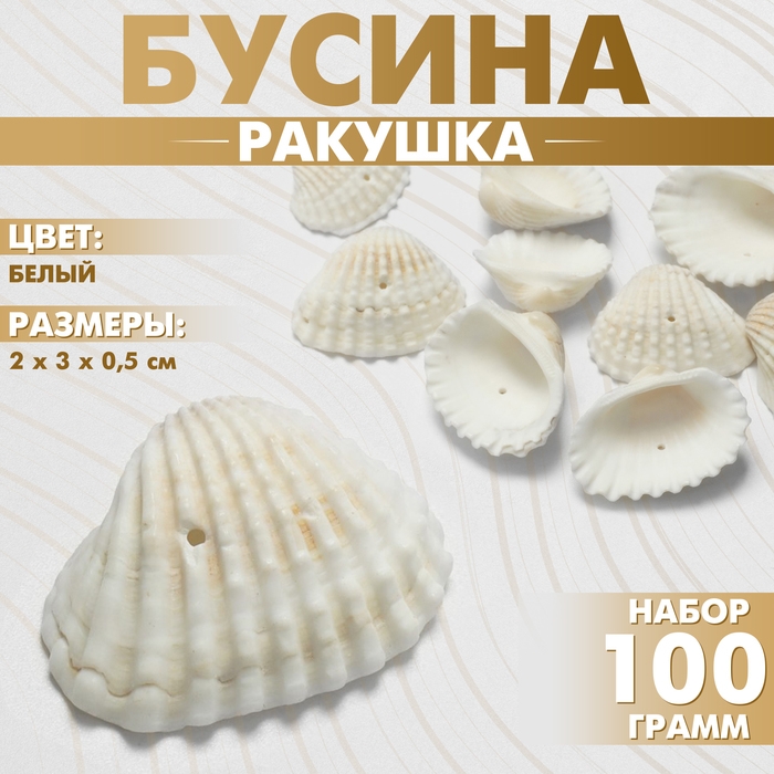 Бусины &laquo;Ракушка&raquo;, 3&times;2 см, половинка, набор 100г, цвет белый
