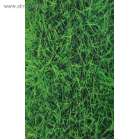 Фотофон винил "Трава" МИКС 80х125 см Фотофон винил "Трава" МИКС 80х125 см