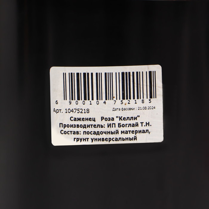 Саженец Розы Саженец Розы "Келли", Горшок С4, Лето 2024