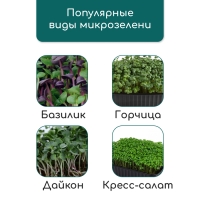 Коврик из кокосового волокна, для выращивания микрозелени, 50 &times; 25 см, Greengo