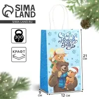 Пакет подарочный новогодний крафтовый &laquo;Счастья в новом году&raquo;, 12 х 9 х 21 см