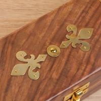 Шкатулка "Лилия" 20х8х5 см, дерево шишам, латунь