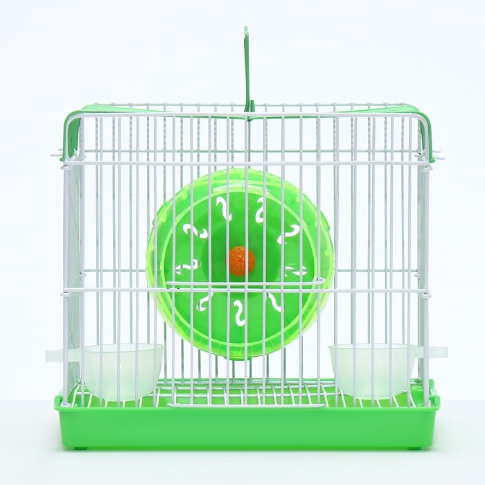 Клетка для грызунов укомплектованная RT-2q, 22 х 16 х 20 см, зелёная (фасовка 30 шт) Клетка для грызунов укомплектованная RT-2q, 22 х 16 х 20 см, зелёная (фасовка 30 шт)