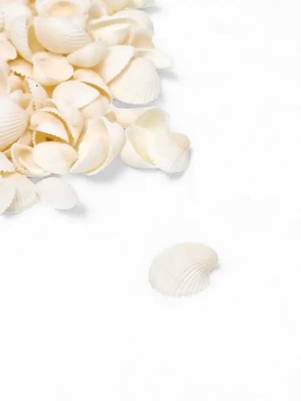 Набор ракушек декоративных 1,5-3 см, 100  г