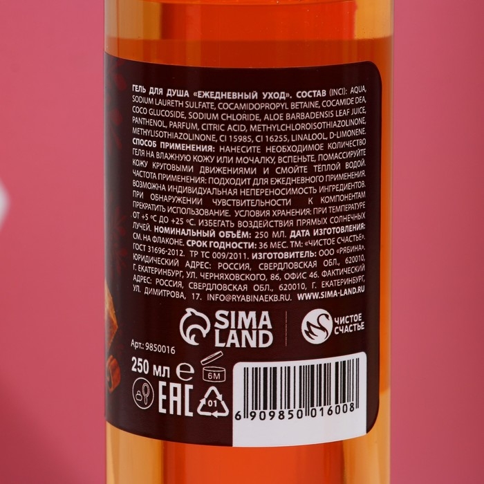 Подарочный набор &laquo;Аромат Нового Года&raquo;: гель для душа и пена для ванны, 2&times;250 мл, Чистое счастье