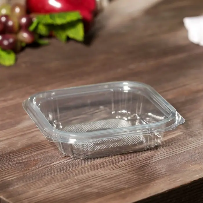 Контейнер одноразовый с неразъёмной крышкой КР-СК, пластик, 250 мл, 13.7&times;13.7&times;3.5 см, прозрачный