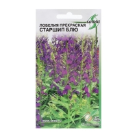 Семена цветов Лобелия прекрасная "Старшип", 5 шт Семена цветов Лобелия прекрасная "Старшип", 5 шт