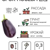 Семена Баклажан &laquo;Чёрный красавец&raquo;, 0.3 г