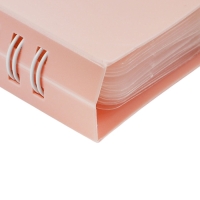 Нотная папка - 30 файлов 60 листов розовая