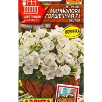 Семена цветов Петуния Минифлора горшечная F1 белая  (драже в пробирке) Цветущий балкон, Ц/П,5 шт. 10