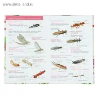 Лучший определитель. Насекомые России