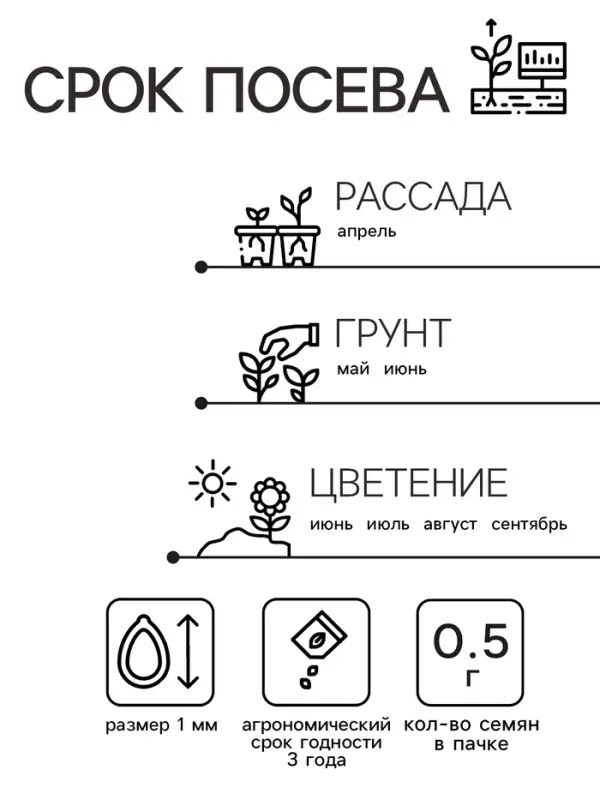 Семена  цветов Цинния Шаровидная, смесь окрасок, О, 0,5 г