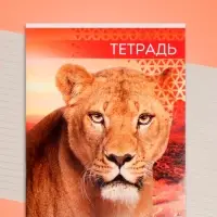 Тетрадь 48 листов в линейку Calligrata &laquo;Дикие кошки&raquo;, обложка мелованная бумага, блок №2, МИКС