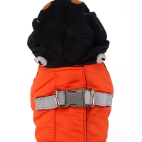 Комбинезон "Тренд", оксфорд, XL (ДС 38, ОШ 37, ОГ 48 см, вес 12-15 кг), оранжевый Комбинезон "Тренд", оксфорд, XL (ДС 38, ОШ 37, ОГ 48 см, вес 12-15 кг), оранжевый