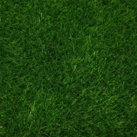 Газон искусственный, ворс 30 мм, 2 &times; 10 м, зелёный, Greengo