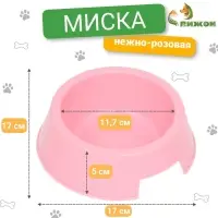 Миска пластиковая 17 х 17 х 5 см, 400 мл, нежно-розовая