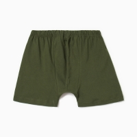 Трусы мужские боксеры Collorista цвет хаки, р-р 42-44