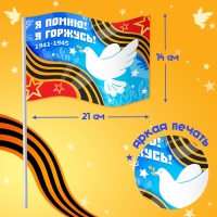 Карнавальный набор &laquo;9 мая!&raquo;, рост 104-152 см, дождевик, флажок